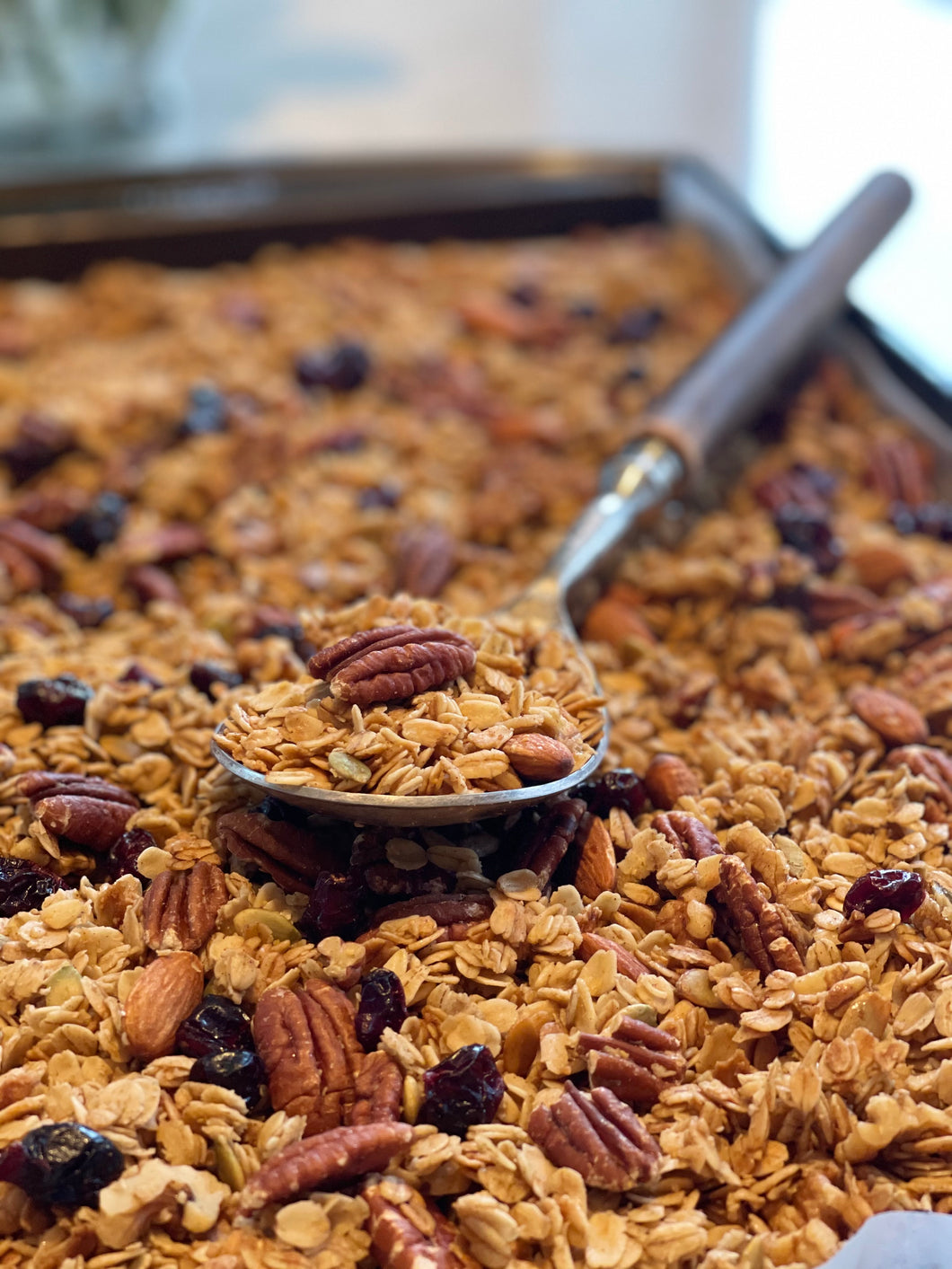 Nuts and Cranberry Granola